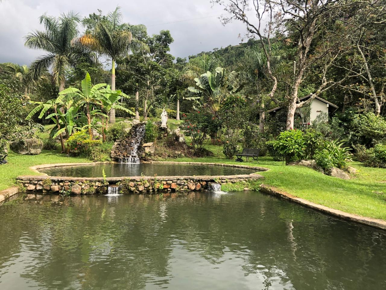 Lago ornamental y jardín tropical